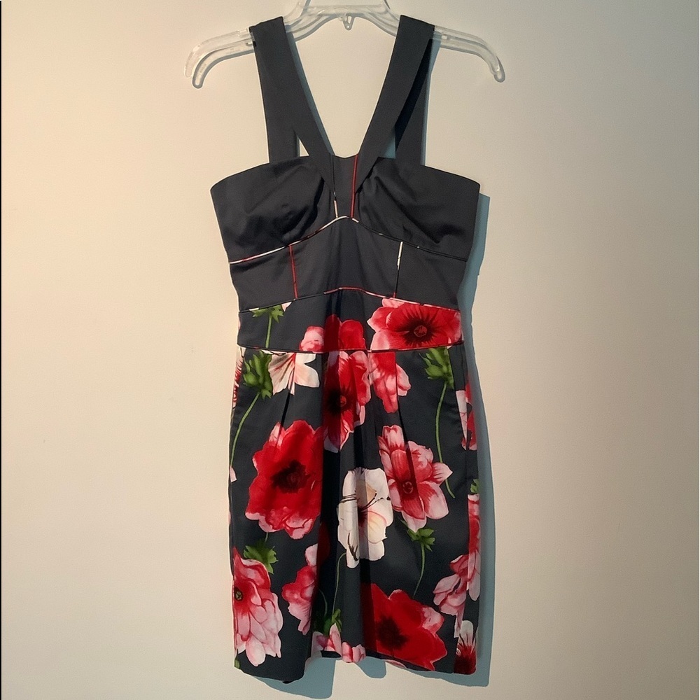 Anthropologie Sine Hollyhock Floral Corset Dress Size 4